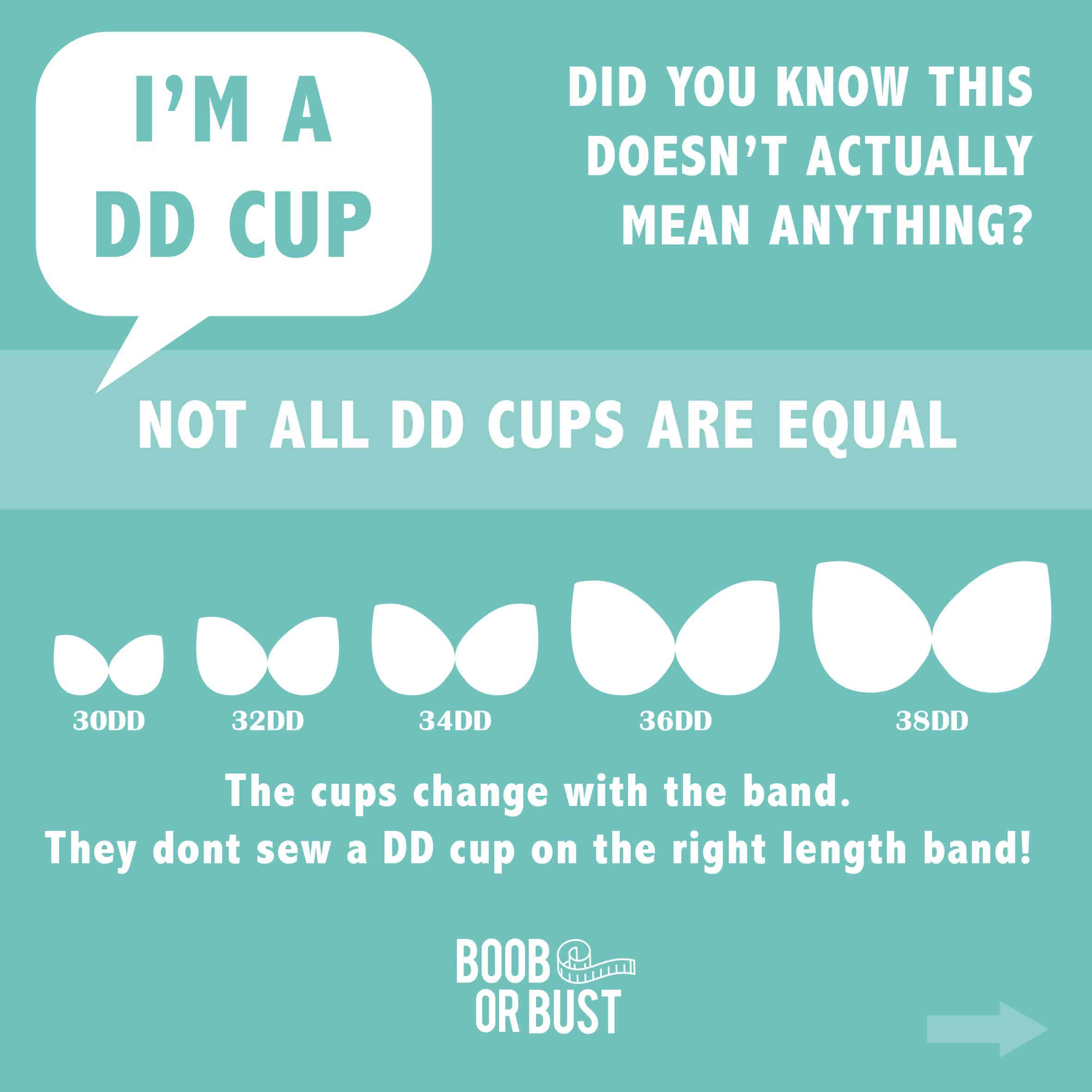 bra cup sizes